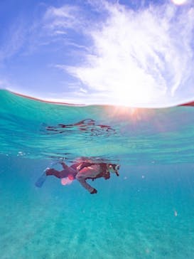 カケロマアイランドリトリートハレハレに投稿された画像（2025/10/5）