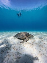 カケロマアイランドリトリートハレハレに投稿された画像（2025/10/5）