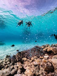 カケロマアイランドリトリートハレハレに投稿された画像（2025/10/5）