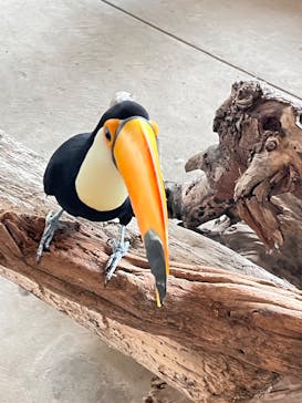 霞ケ浦 どうぶつとみんなのいえに投稿された画像（2025/10/5）