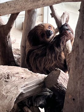 霞ケ浦 どうぶつとみんなのいえに投稿された画像（2025/10/5）