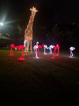 静岡市立日本平動物園に投稿された画像（2025/10/5）