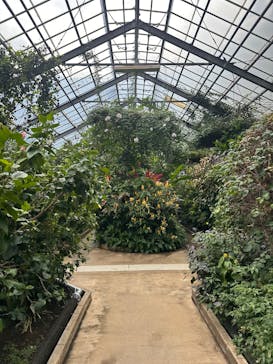 熱川バナナワニ園に投稿された画像（2025/10/5）