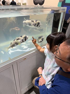 NIFREL（ニフレル）に投稿された画像（2025/10/5）