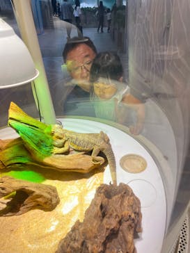 NIFREL（ニフレル）に投稿された画像（2025/10/5）