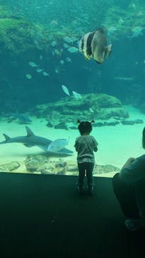 九十九島パールシーリゾートに投稿された画像（2025/10/5）