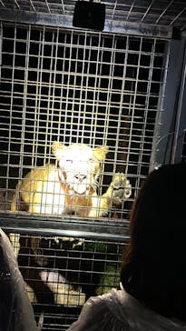 那須サファリパークに投稿された画像（2025/10/5）