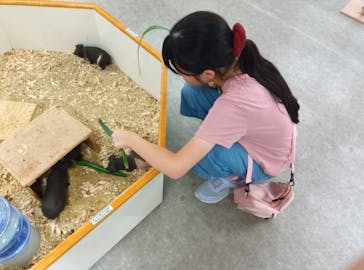 アニタッチ 東京ドームシティに投稿された画像（2025/10/5）