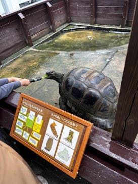 世界淡水魚園水族館　アクア・トトぎふに投稿された画像（2025/10/6）