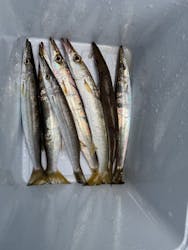 第三新生合同丸に投稿された画像（2025/10/6）