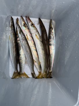 第三新生合同丸に投稿された画像（2025/10/6）