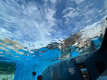 サンシャイン水族館に投稿された画像（2025/10/6）