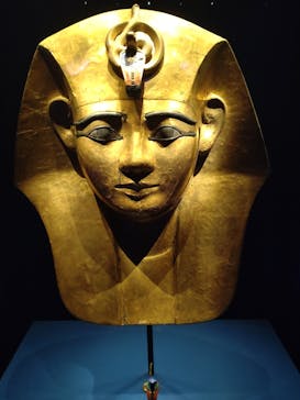 ACN ラムセス大王展 ファラオたちの黄金に投稿された画像（2025/10/6）