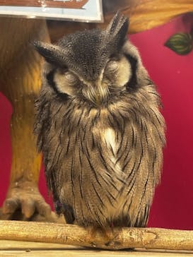 アニタッチ 東京ドームシティに投稿された画像（2025/10/6）