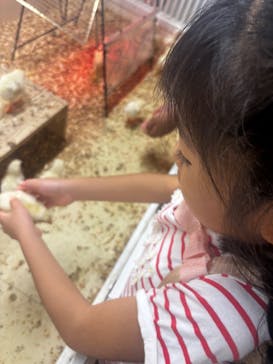 アニタッチ 東京ドームシティに投稿された画像（2025/10/6）