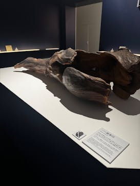 正倉院 THE SHOW ―感じる。いま、ここにある奇跡―　@上野の森美術館に投稿された画像（2025/10/6）