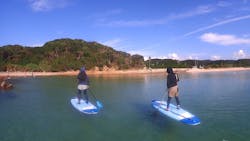 ホワイトウイングに投稿された画像（2025/10/6）