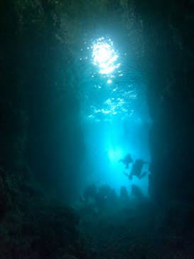 武藤潜水に投稿された画像（2025/10/6）