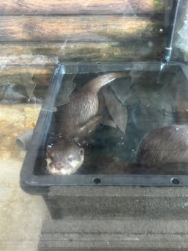 伊豆・三津シーパラダイスに投稿された画像（2025/10/6）