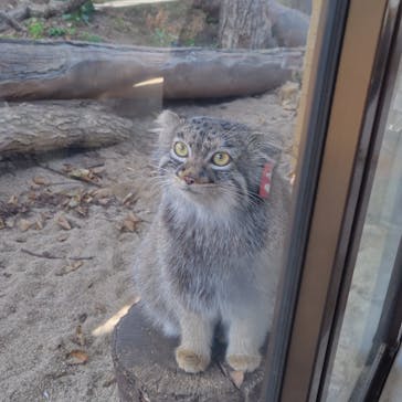 那須どうぶつ王国に投稿された画像（2025/10/6）