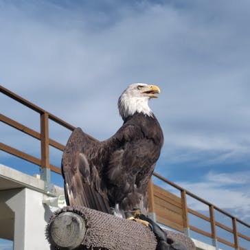 那須どうぶつ王国に投稿された画像（2025/10/6）