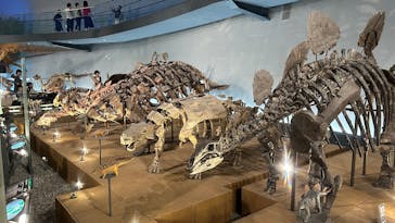 福井県立恐竜博物館に投稿された画像（2025/10/6）