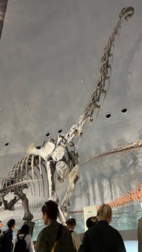 福井県立恐竜博物館に投稿された画像（2025/10/6）