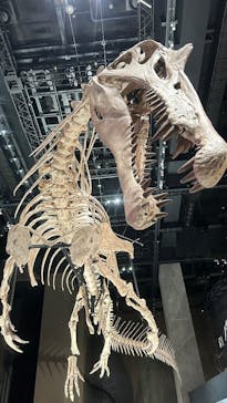 福井県立恐竜博物館に投稿された画像（2025/10/6）