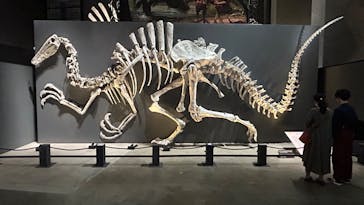 福井県立恐竜博物館に投稿された画像（2025/10/6）