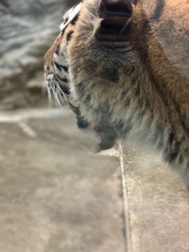 静岡市立日本平動物園に投稿された画像（2025/10/6）