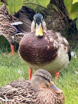 箱根ガラスの森美術館に投稿された画像（2025/10/6）