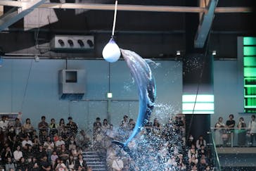 マクセル アクアパーク品川に投稿された画像（2025/10/6）