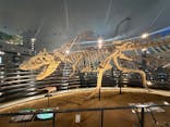 福井県立恐竜博物館に投稿された画像（2025/10/6）