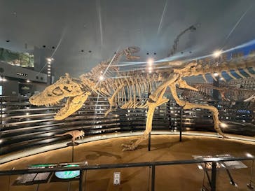 福井県立恐竜博物館に投稿された画像（2025/10/6）