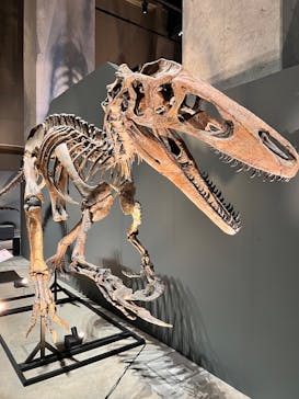 福井県立恐竜博物館に投稿された画像（2025/10/6）