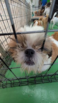 つくばわんわんランドに投稿された画像（2025/10/6）