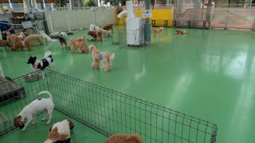 つくばわんわんランドに投稿された画像（2025/10/6）