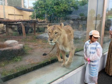 東武動物公園に投稿された画像（2025/10/6）