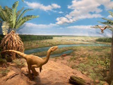 福井県立恐竜博物館に投稿された画像（2025/10/6）