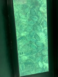 川平マリンサービスに投稿された画像（2025/10/6）