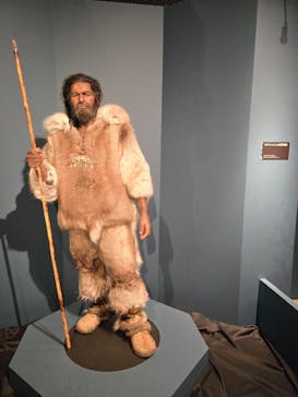 特別展「氷河期展 〜人類が見た4万年前の世界〜」（国立科学博物館）に投稿された画像（2025/10/6）