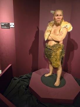 特別展「氷河期展 〜人類が見た4万年前の世界〜」（国立科学博物館）に投稿された画像（2025/10/6）