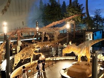 福井県立恐竜博物館に投稿された画像（2025/10/6）