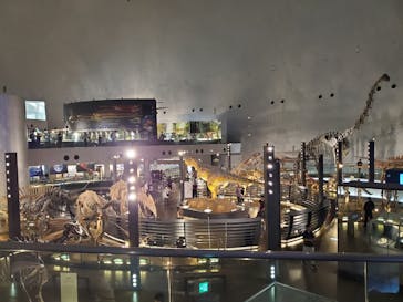 福井県立恐竜博物館に投稿された画像（2025/10/6）
