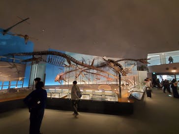 福井県立恐竜博物館に投稿された画像（2025/10/6）