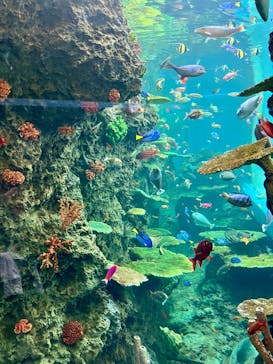 鴨川シーワールドに投稿された画像（2025/10/6）