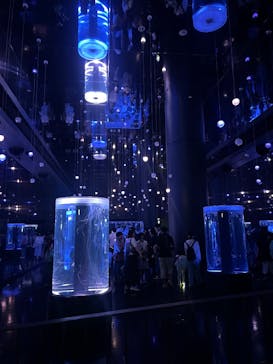 マクセル アクアパーク品川に投稿された画像（2025/10/6）