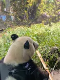恩賜上野動物園に投稿された画像（2025/10/7）