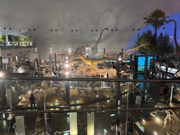 福井県立恐竜博物館に投稿された画像（2025/10/6）