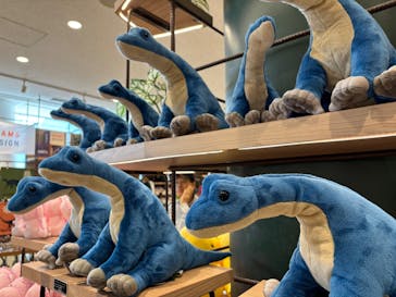 福井県立恐竜博物館に投稿された画像（2025/10/6）